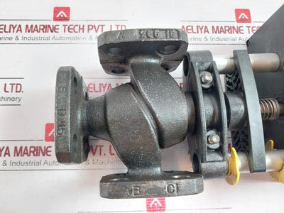 Sauter Avm321F110 Regulation Seat Valve Actuator Vue015F300 50/60Hz 12S/Mm