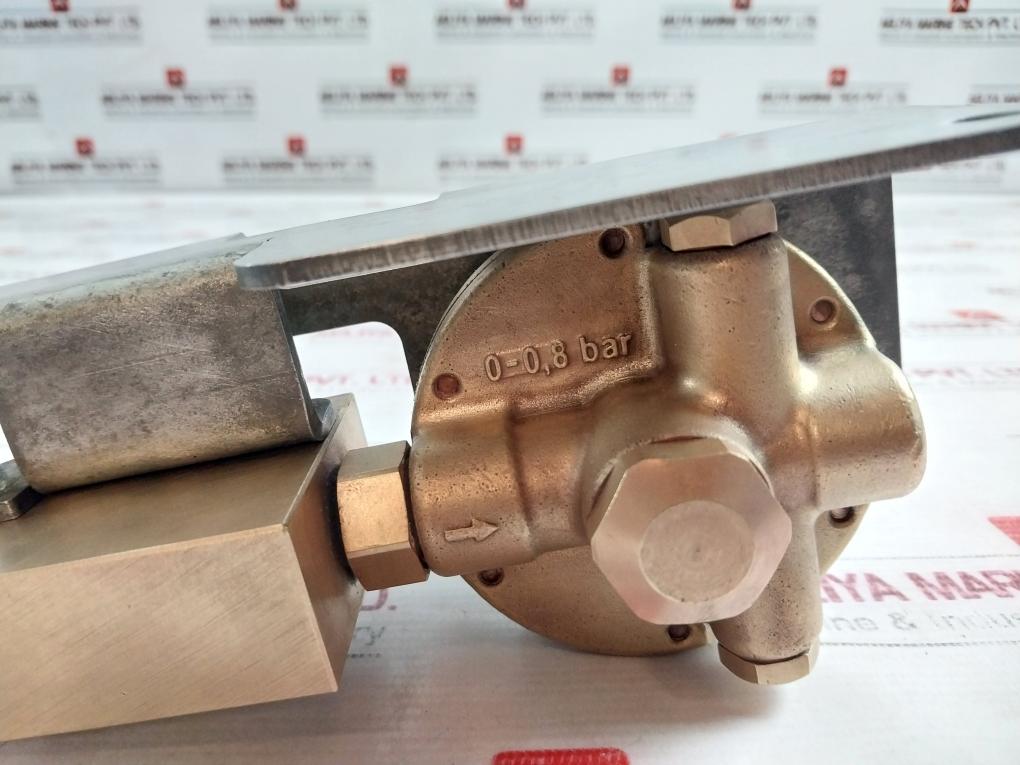 Schaller Automation 10001 Pressure Regulating Unit 0 - 0.8 Bar