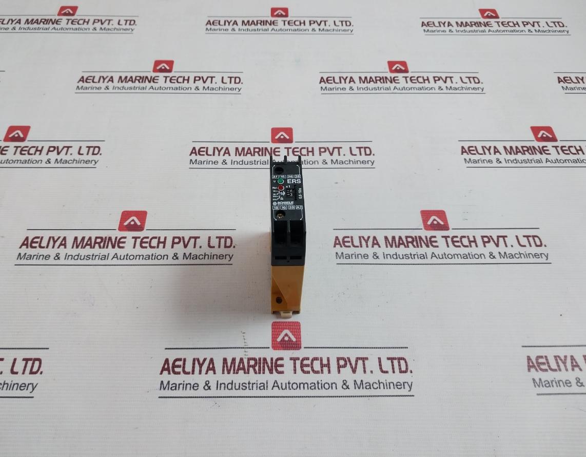Schiele Ers Time Delay Relay 250V Ac 2A