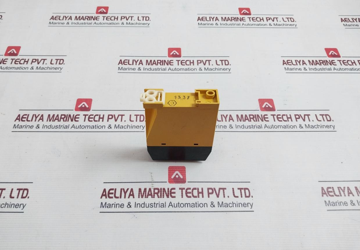 Schiele Ers Time Delay Relay 250V Ac 2A