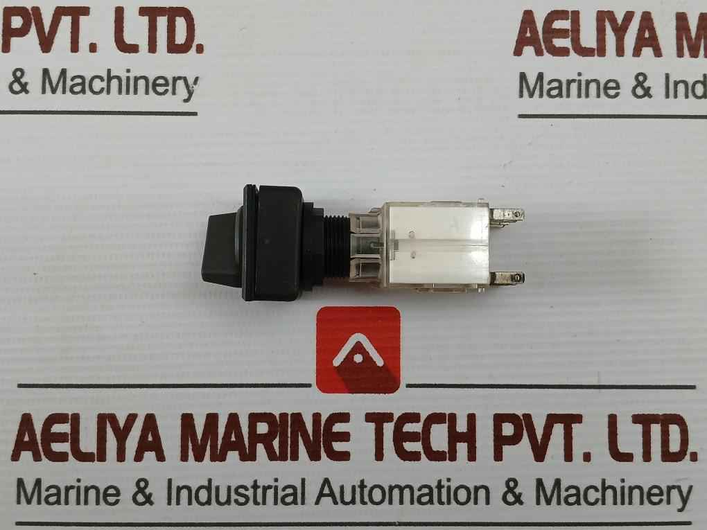Schlegel At2 Head Push Button Switch 250V 6(3)A