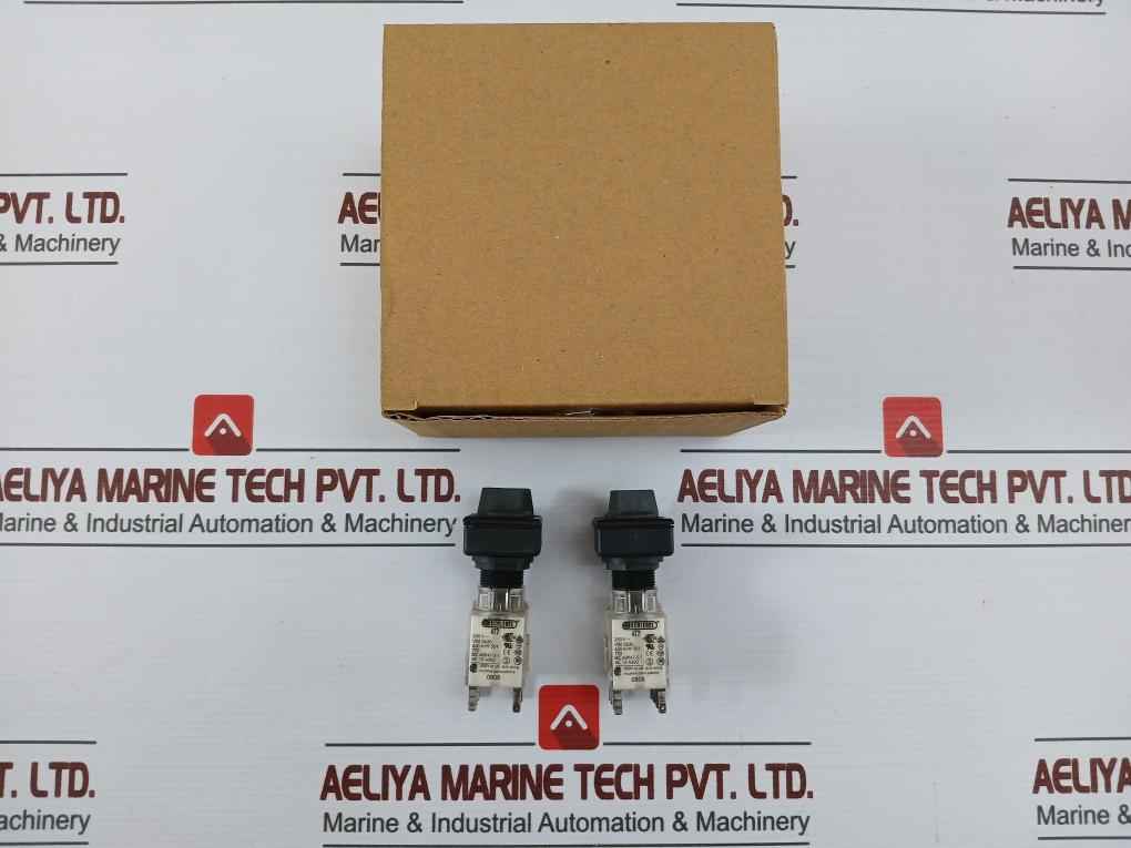 Schlegel At2 Head Push Button Switch 250V 6(3)A