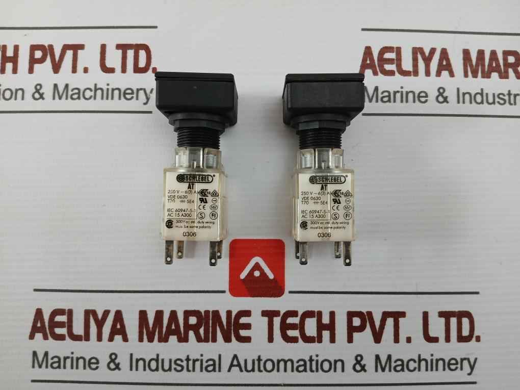 Schlegel At Head Push Button Switch 250V 6(3)A