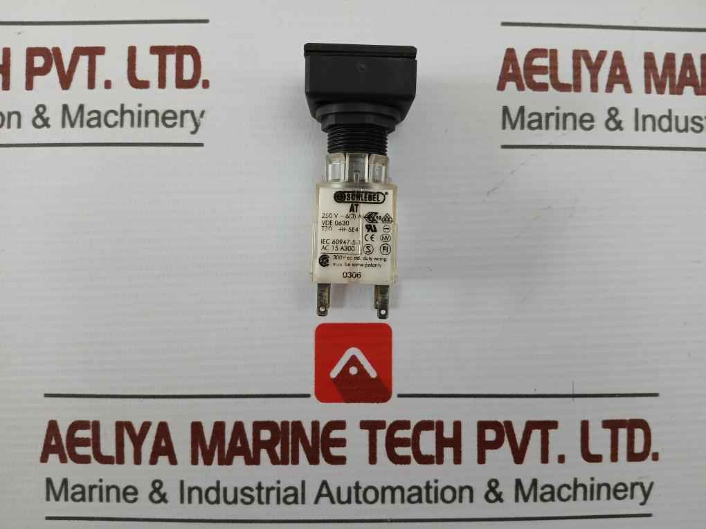 Schlegel At Head Push Button Switch 250V 6(3)A