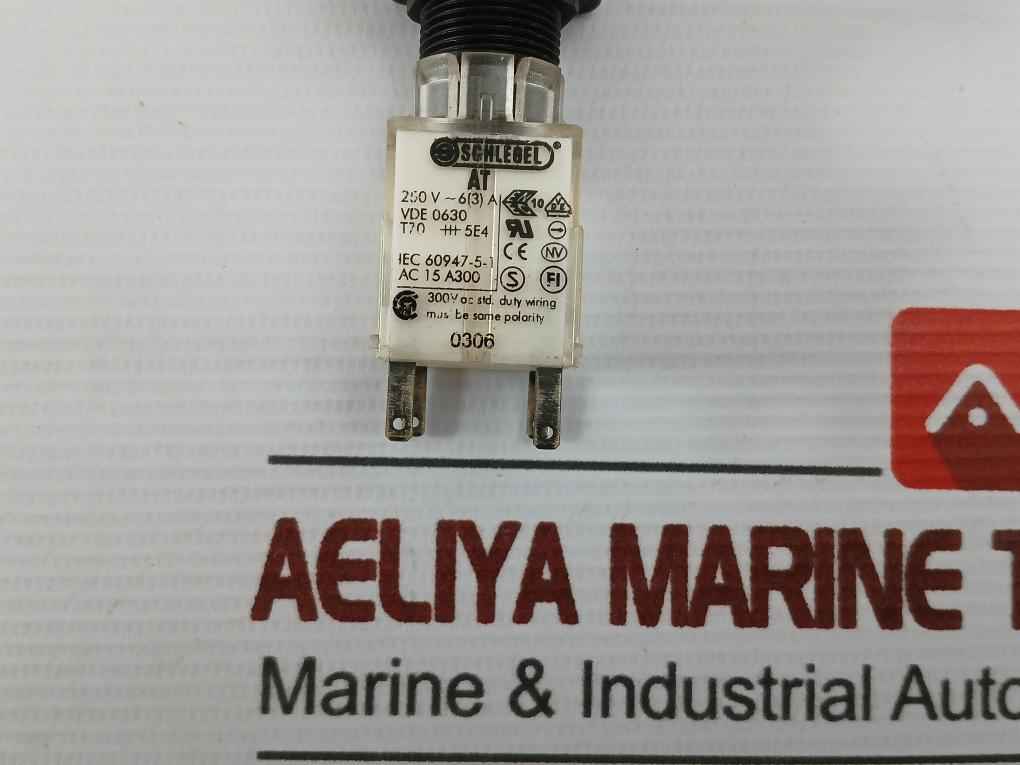 Schlegel At Head Push Button Switch 250V 6(3)A