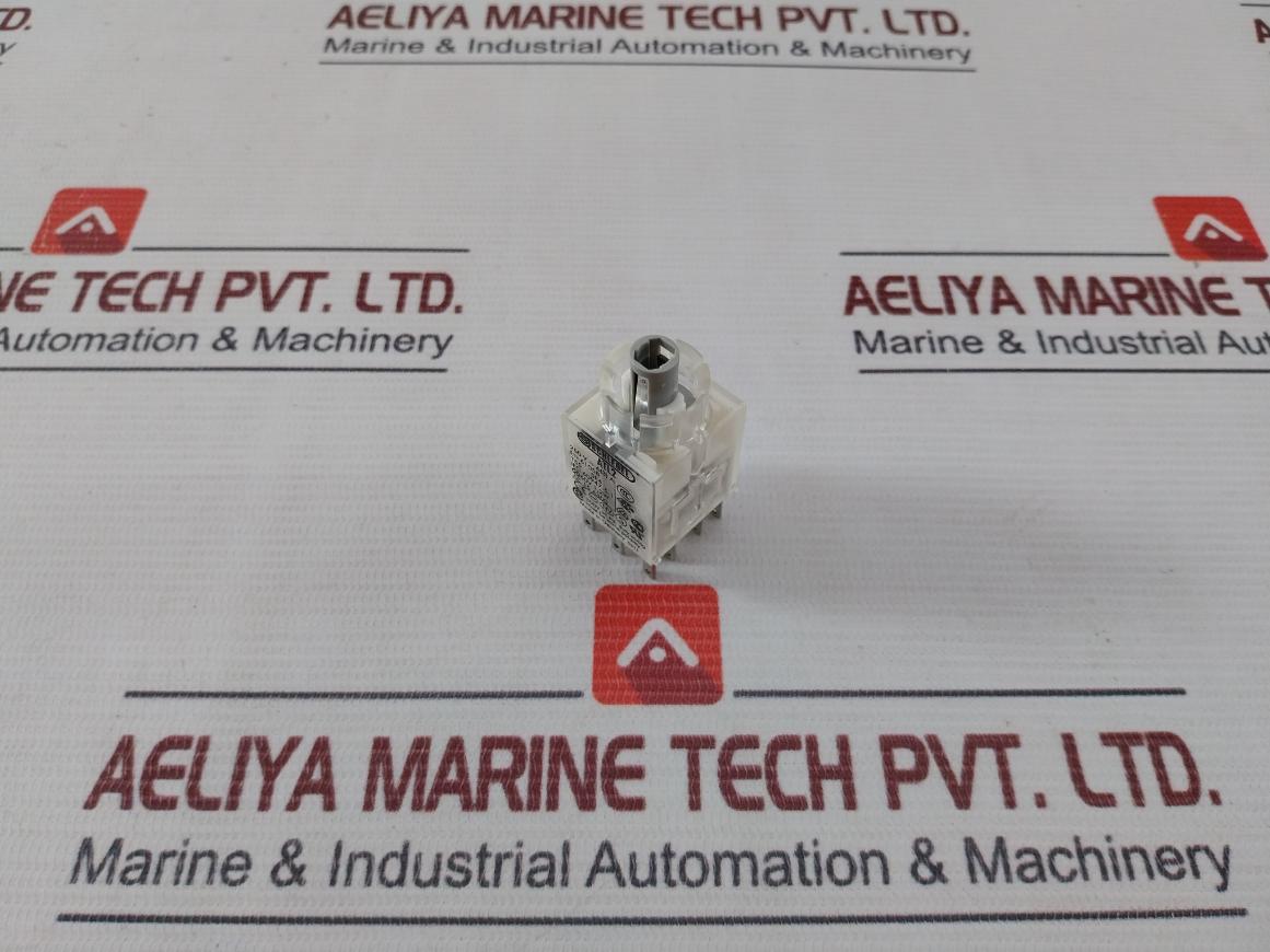 Schlegel Atl2 Illuminated Momentary Contact Block 60V 1,2W