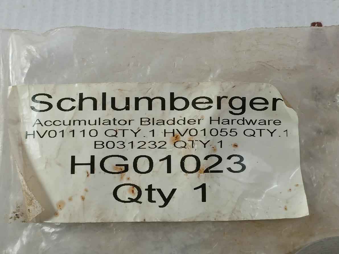 Schlumberger Hg01023 Accumulator Bladder Hardware Set Hv01110