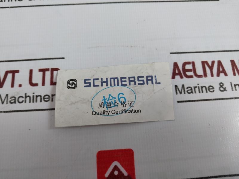 Schmersal Td 422-01Y-1090 Medium Duty Position Switch 250V 4Kv 2U9