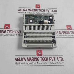 Schneider Electric 170Aai03000 Square D Distributed Analog Input Module 8Ch