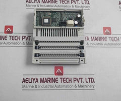 Schneider Electric 170Aai03000 Square D Distributed Analog Input Module 8Ch