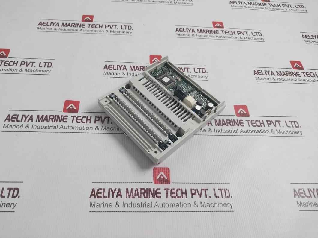 Schneider Electric 170Aai03000 Square D Distributed Analog Input Module 8Ch