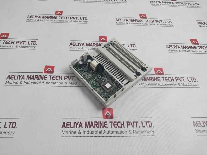 Schneider Electric 170Aai03000 Square D Distributed Analog Input Module 8Ch