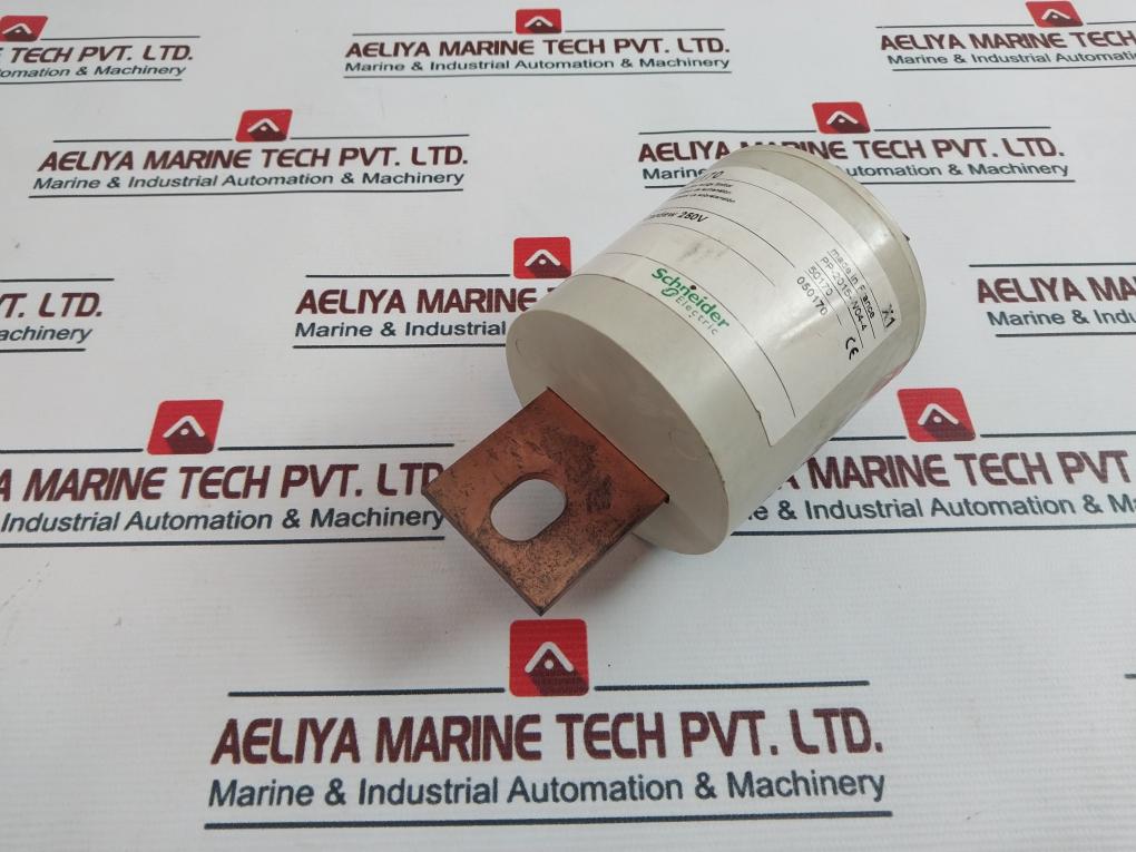 Schneider Electric 50170 Cardew Surge Limiter