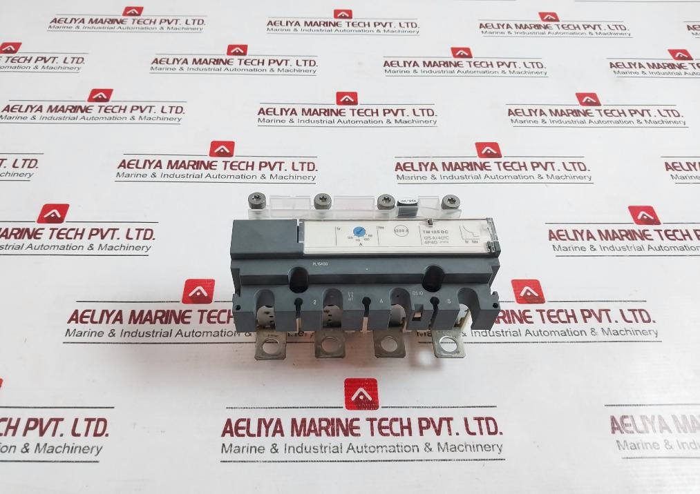 Schneider Electric Lv438146 Trip Unit Compact Nsx100-250 125A/40C