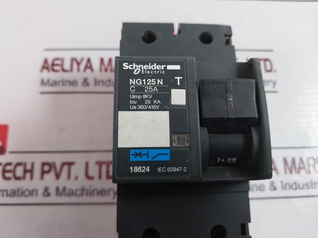 Schneider Electric Ng125N Electric Circuit Breaker 25A 380/415V~