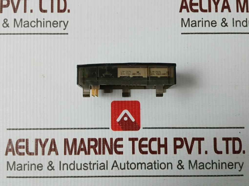 Schneider Electric Scew815404160101A01 Centralized Display Block Rl 01