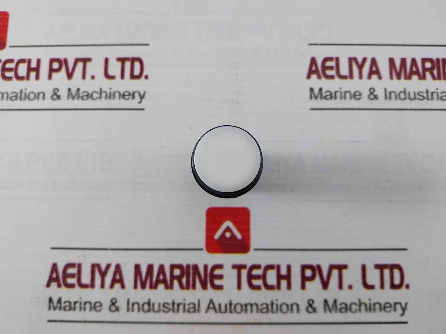 Schneider Electric/Telemecanique Xb7-ev0.3Bpn Monolithic Pilot Light 24V Ac Dc