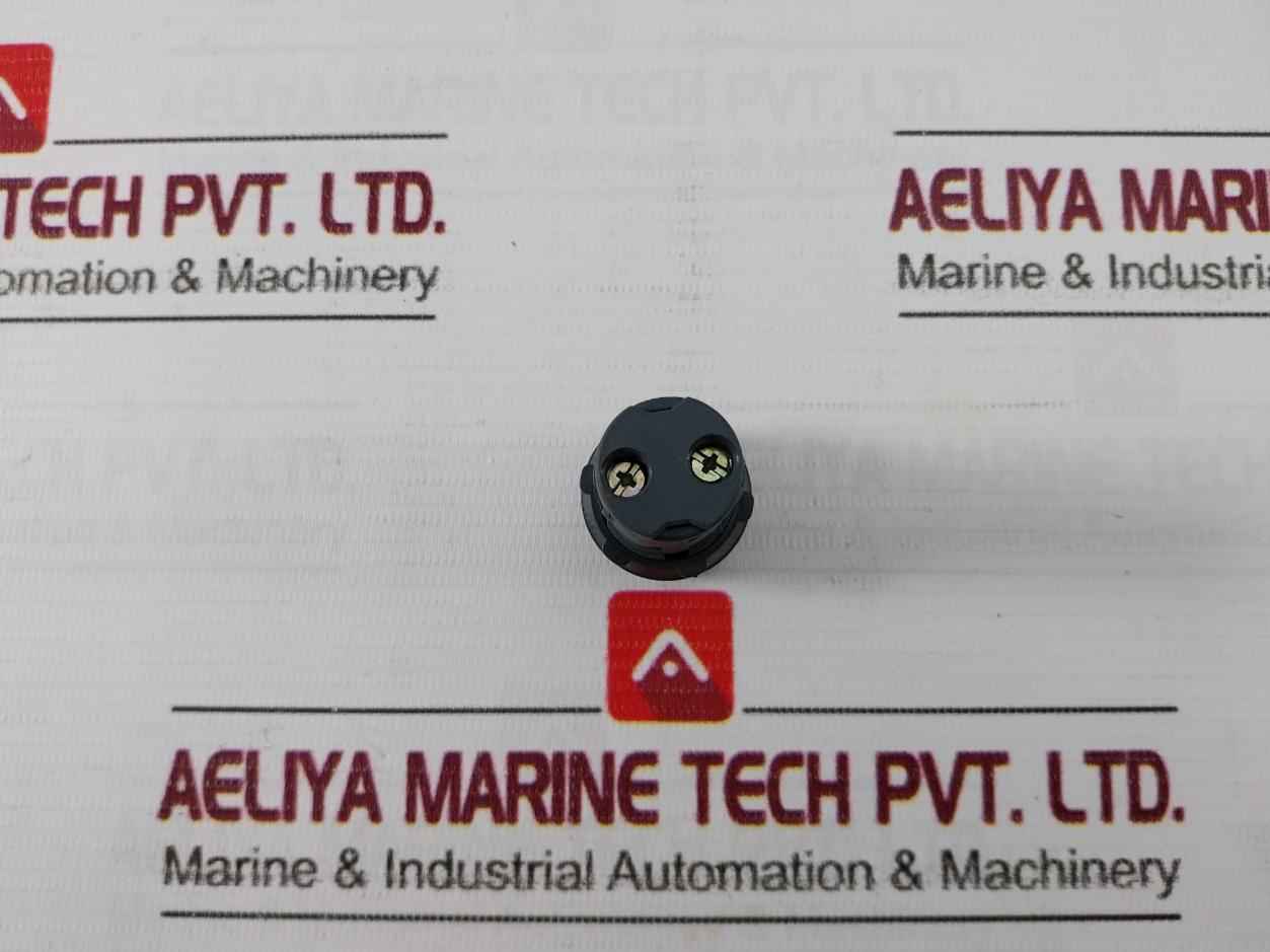 Schneider Electric/Telemecanique Xb7-ev0.3Bpn Monolithic Pilot Light 24V Ac Dc