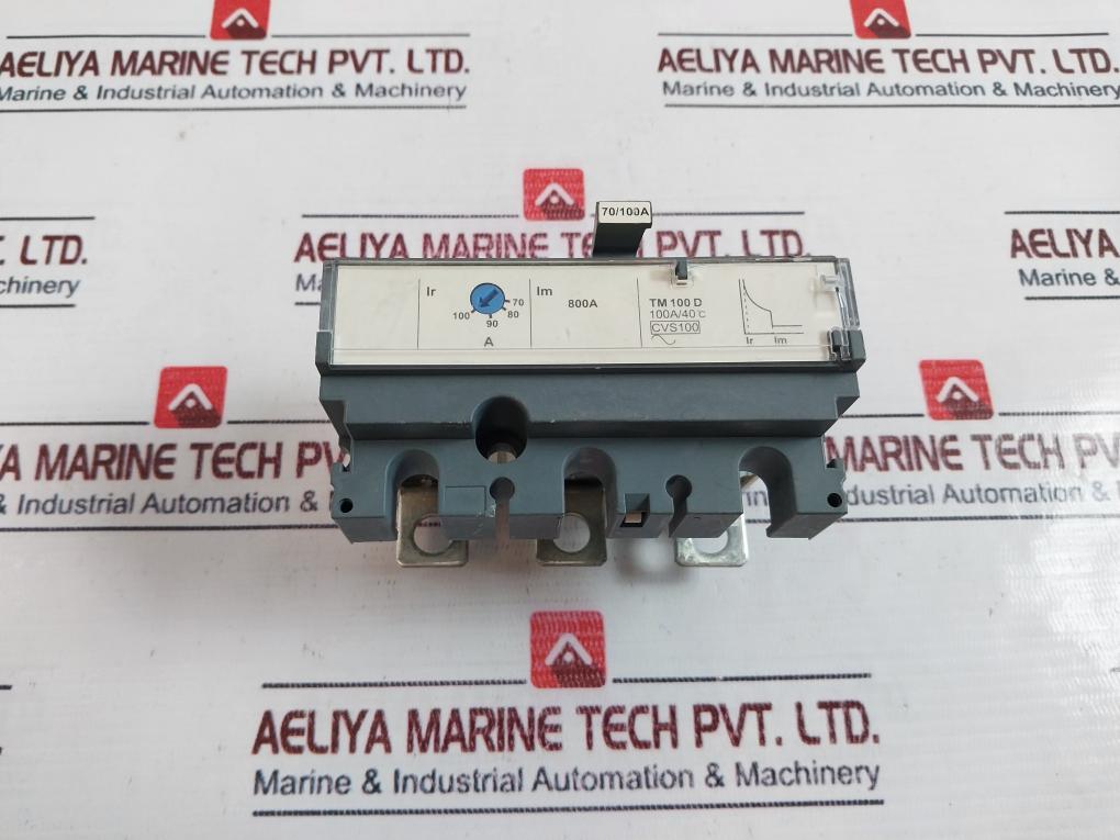 Schneider Electric TM 100 D Trip Unit 100A