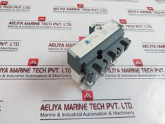 Schneider Electric TM 100 D Trip Unit 100A