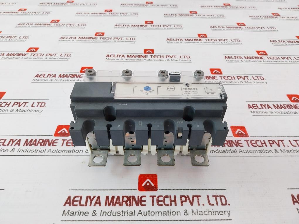 Schneider Electric Tm 125 D 3 Poles Thermal Magnetic Protection S1A50510