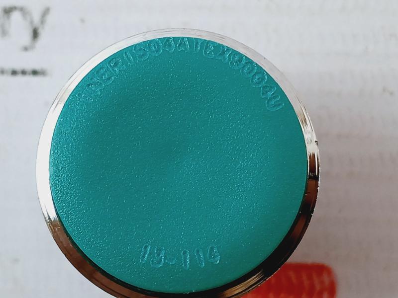 Schneider Electric Xb4 Bp31ex Green Pushbutton Spring Return Ip65