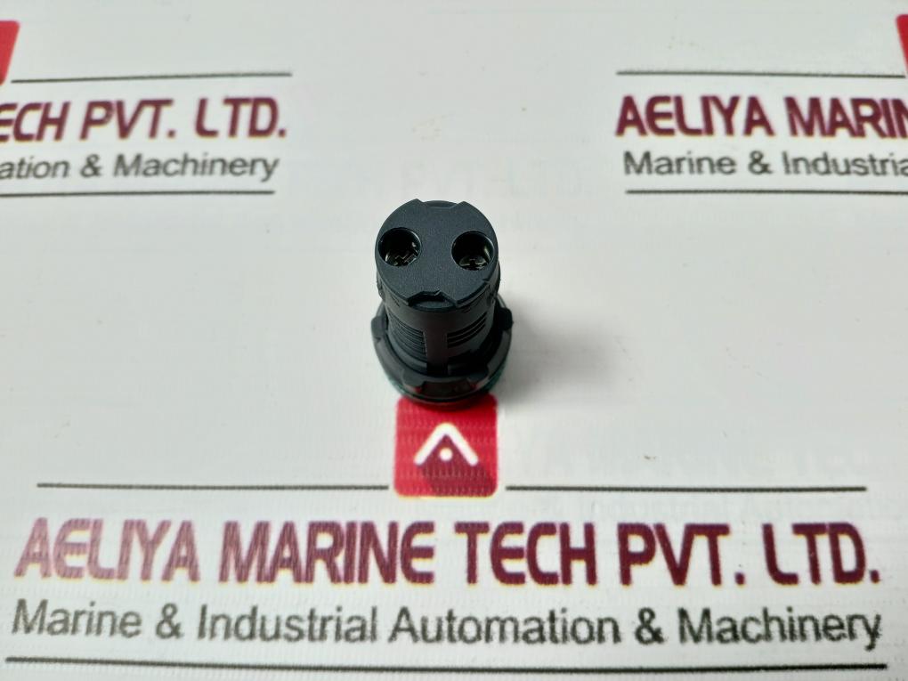 Schneider Electric Xb7Ev03Bpn Harmony Pilot Light 24V Ac/Dc