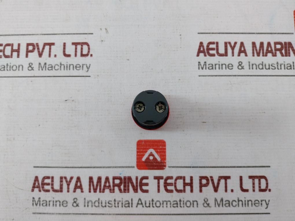 Schneider Electric Xb7Ev04Bpn Monolithic Pilot Light 4Bpn 8D18422 24V Ac/Dc