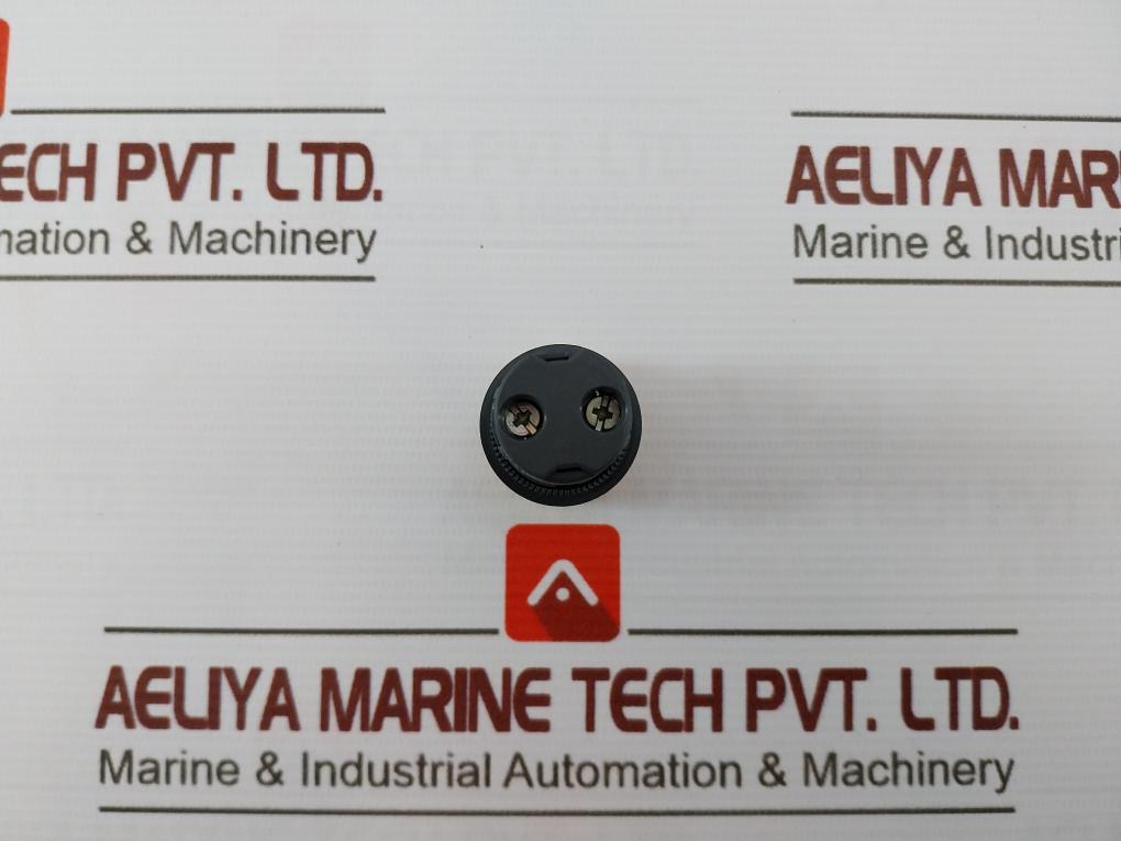 Schneider Electric Xb7Ev05Bpn Monolithic Pilot Light Integral Led 24V Ac/Dc