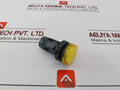 Schneider Electric Xb7Ev05Bpn Monolithic Pilot Light Integral Led 24V Ac/Dc
