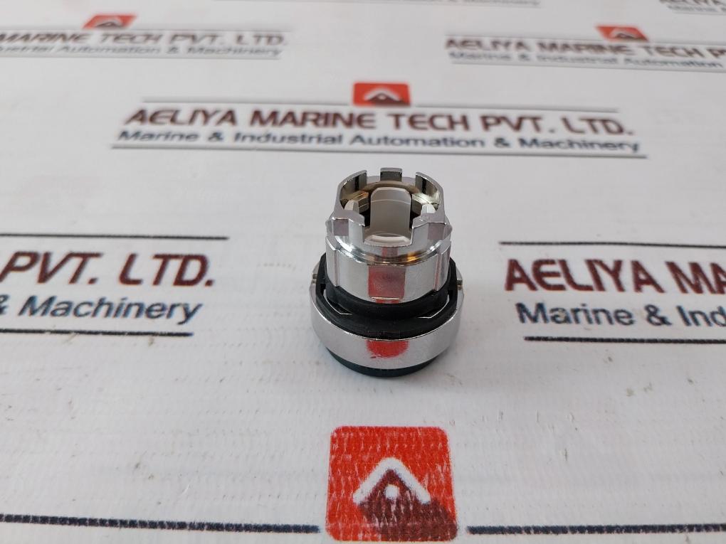 Schneider Electric Zb4bw13 Push Button
