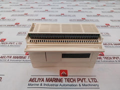 Schneider Electrictwdlcde40Drf Plc Module 24Vdc