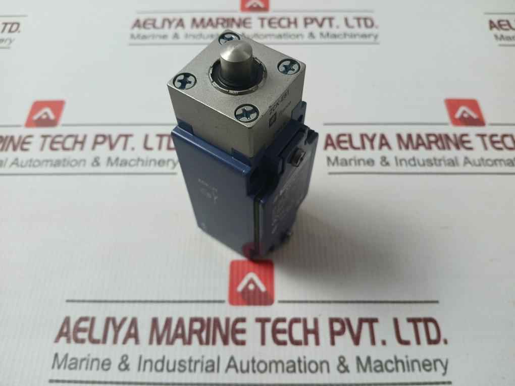Schneider Xckj Limit Switch 3A 240V Ac,Ip66