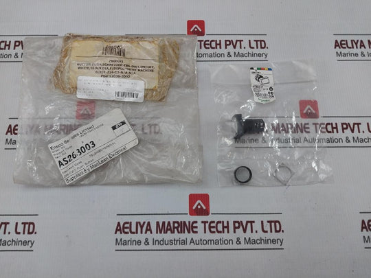 Schneider Electric Zb6Dw1 White Rectang Flush Illuminated Pushbutton Head