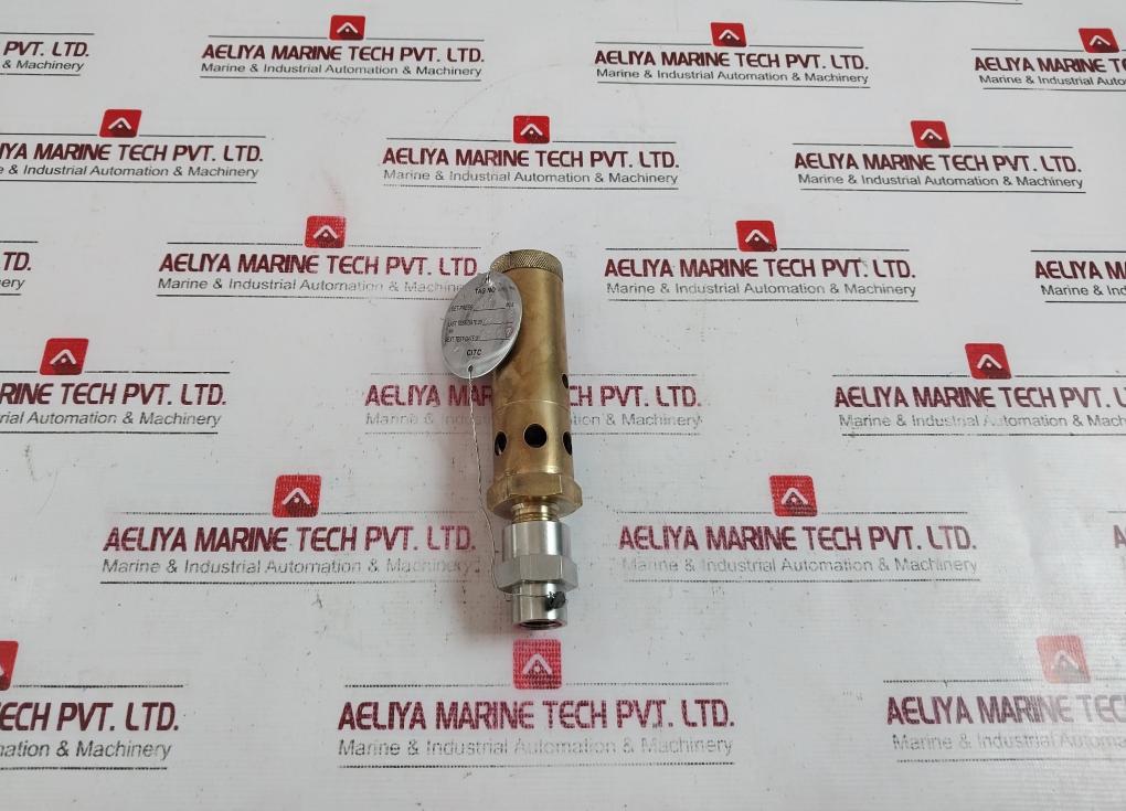 Seetru-bristol Tuv Sv 06 622.96 Safety Relief Valve 3.1 Mpa