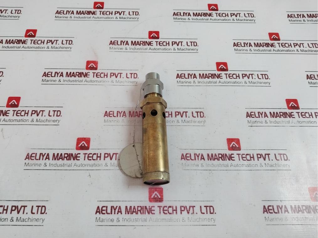 Seetru-bristol Tuv Sv 06 622.96 Safety Relief Valve 3.1 Mpa