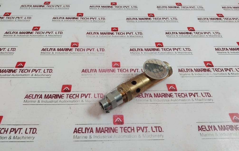 Seetru-bristol Tuv Sv 06 622.96 Safety Relief Valve 3.1 Mpa