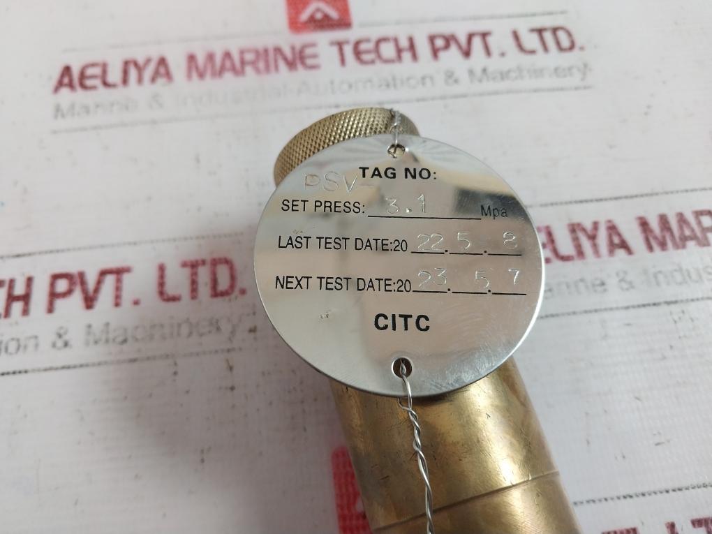 Seetru-bristol Tuv Sv 06 622.96 Safety Relief Valve 3.1 Mpa