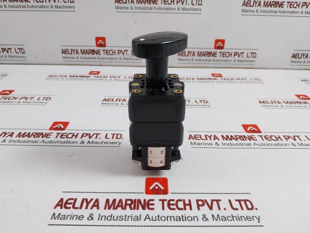 Seiko Electric 600V 10A Cam Switch Ybnpf0-805