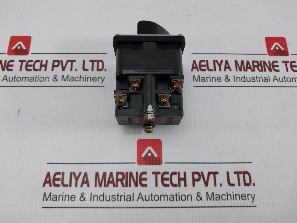 Seiko Electric Cam Switch 600V 10A Bn W202
