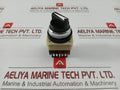 Selector-Switch-With-Block-Base-600-Vac-Fuji-Electric-Ah30-p2-208061-4
