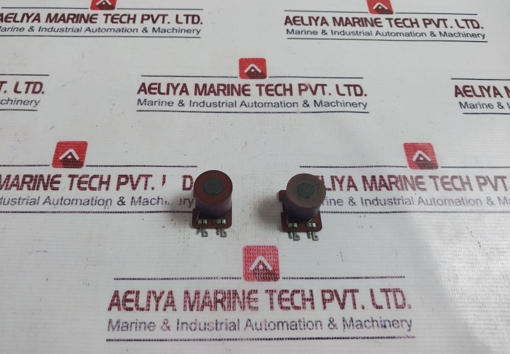 Lot of 2X SELECTOR COIL 29.5505.0205 I. 11-800-0,28 CUL BV. -6 V-2/5