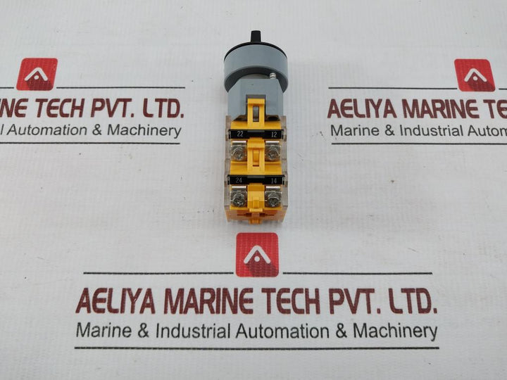 Selector Switch Actuator 704.900.4 Eao