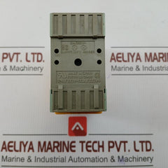Gzu 30 Time Delay Relay 250V Selectron
