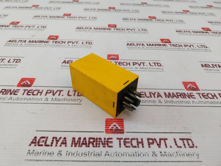 Selectron RZIB 30 Time Relay 250V