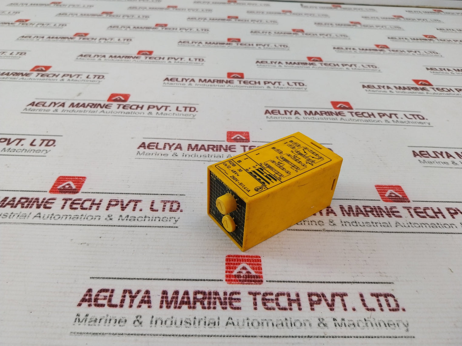 Selectron RZIB 30 Time Relay 250V