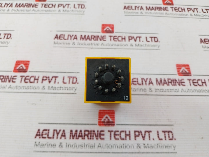 Selectron RZIB 30 Time Relay 250V
