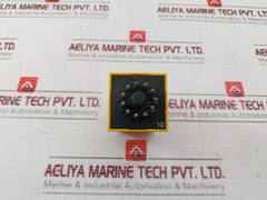 Selectron RZIB 30 Time Relay 250V