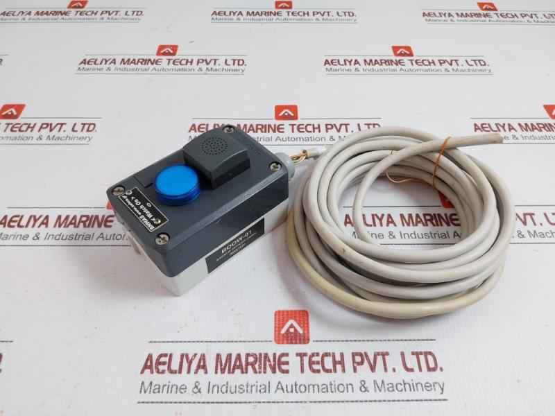 Selma Bridge Navigational Watch Alarm System 5-meter Boow-01