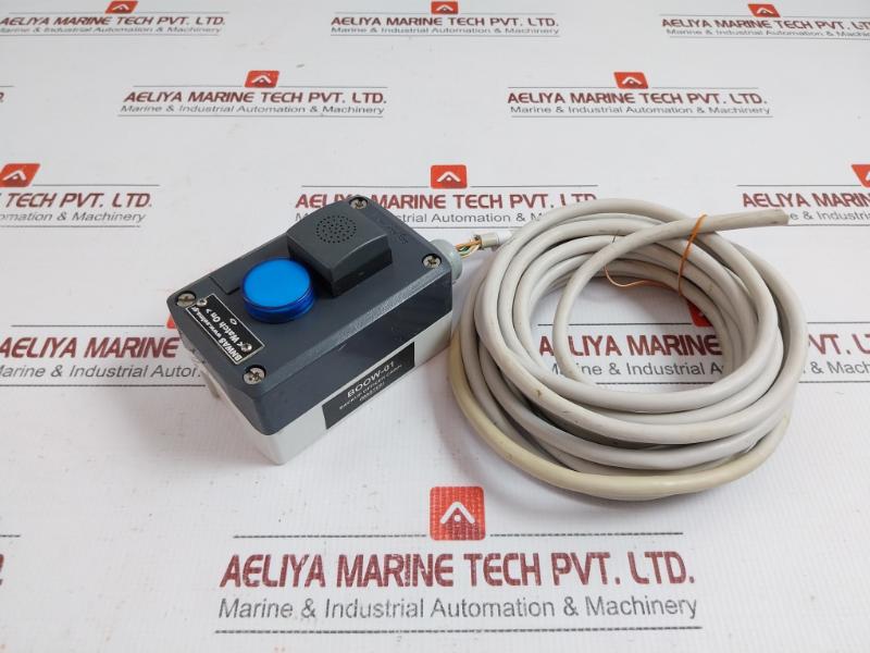 Selma Bridge Navigational Watch Alarm System 5-meter Boow-01